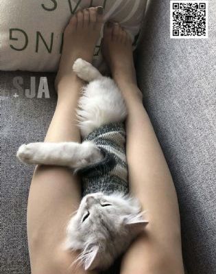 初音女捜査官在线观看_国产剧完整在线观看