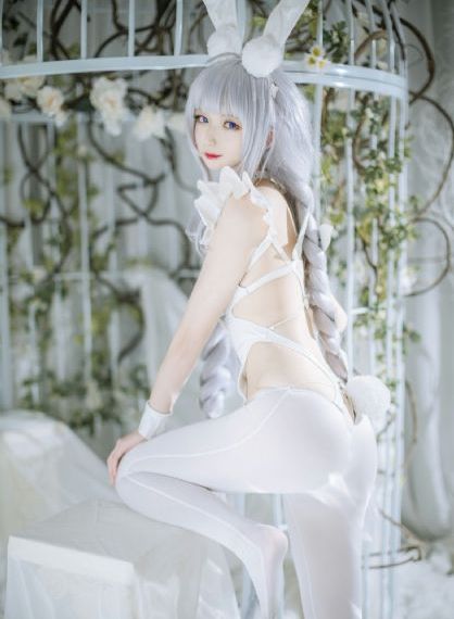 血与骨在线观看高清完整版_4K全集免费观看